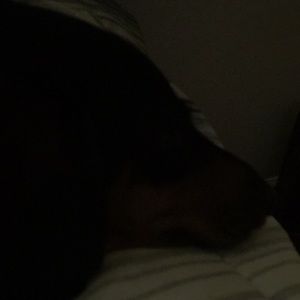 Meet your Posher, Milli